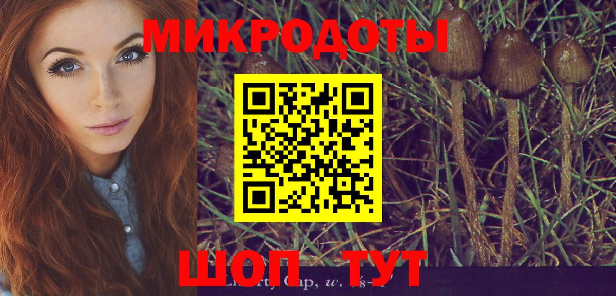 Карачаевск  Галлюциногенные грибы ЛСД  Вход с VPN  Галлюциногенные грибы GOLDEN TEACHER 