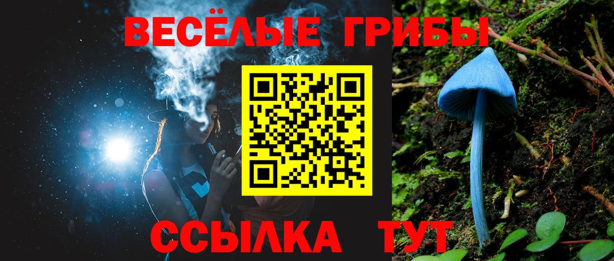 Псилоцибиновые грибы Magic Shrooms Карачаевск