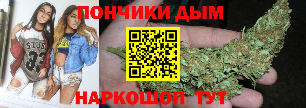 Конопля гибрид Карачаевск